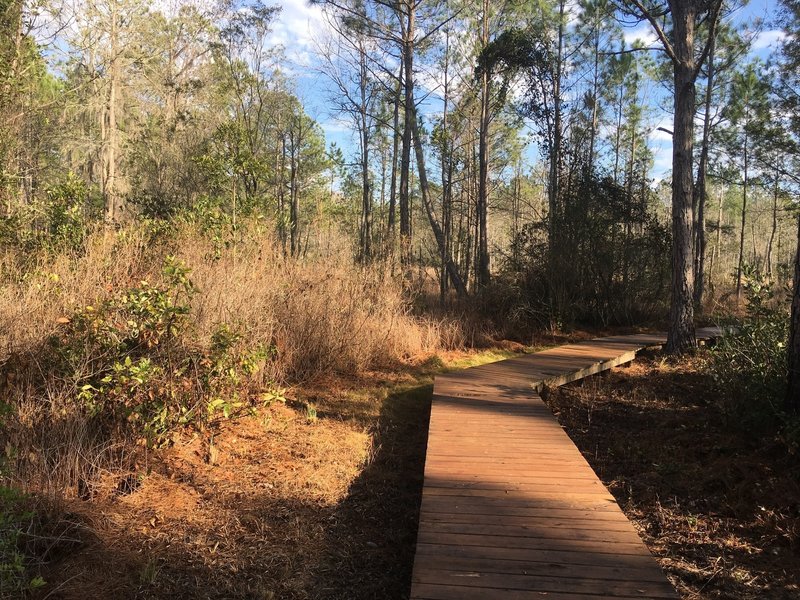 This is what to expect along the first section of boardwalk over the swamp (in wintertime).