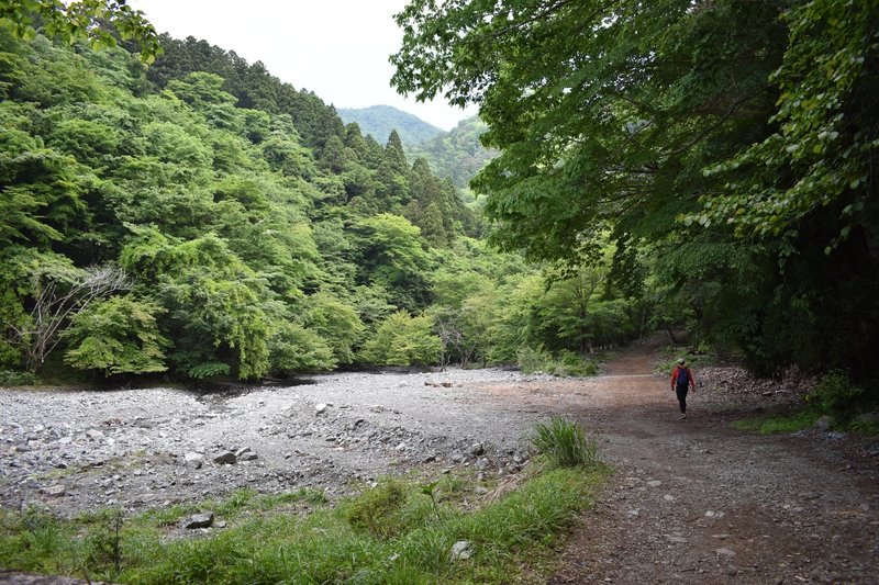 This spot is an interesting sight just a few miles in after the waterfall.