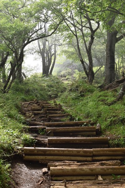 Lots of stairs help with the steep incline of this mountain.