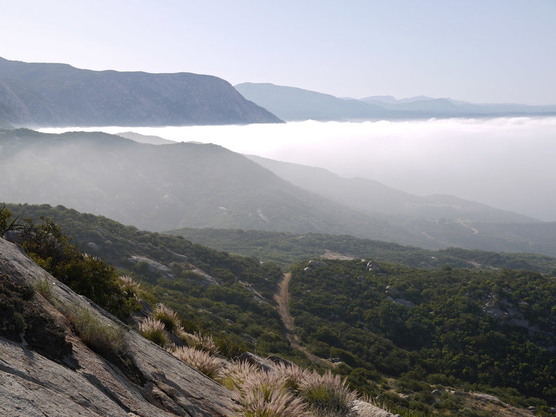 Early morning fog enshrouds the El Cajon Mountain Trail.
