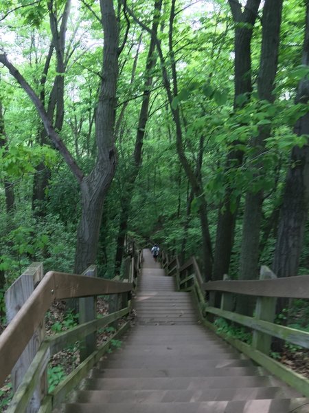 Well-built stairs help you head down the dunes toward the beach.