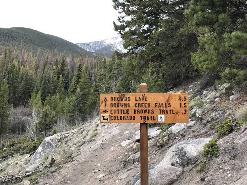 An informative sign marks the route to Browns Lake and the waterfall.