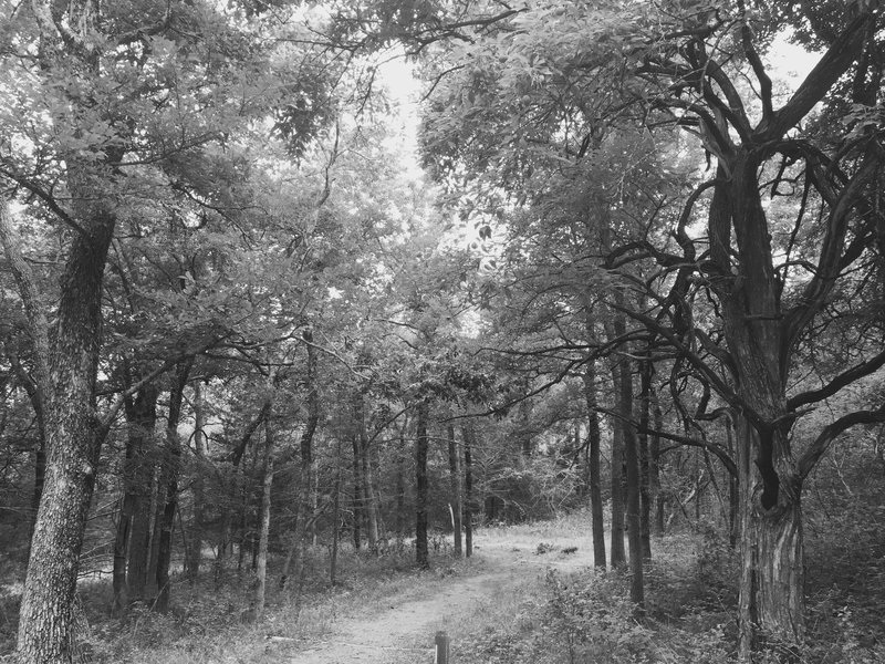 This is what to expect near the Armadillo Hill Trailhead.