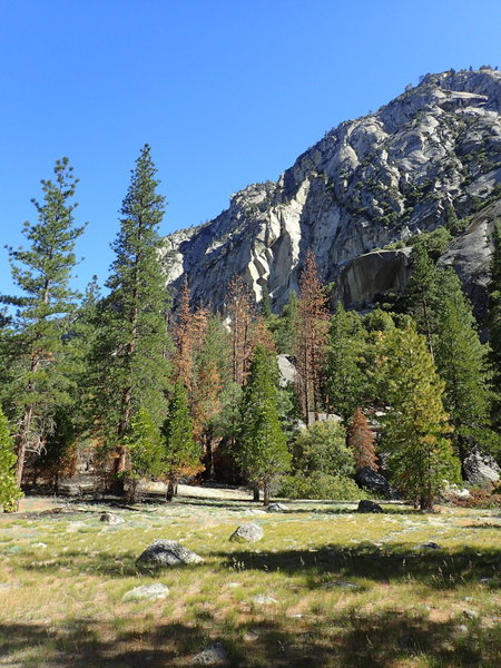 The Bubbs Creek Trail offers beautiful rocky views.