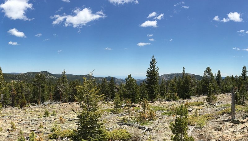 This view east, down to North Boulder and the foothills, is comparable in beauty to the view west toward the mountains.