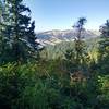 Wildflowers and vistas abound in this forest.