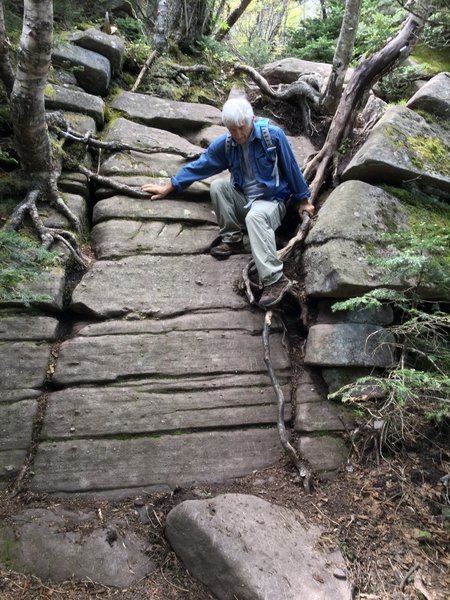 The Wittenberg Cornell Slide Trail is only for the brave and sure-footed!