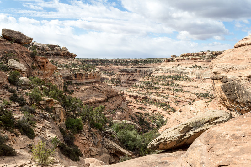 Descend into Owl Creek for an awe-striking experience in the heart of the canyon.