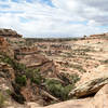 Descend into Owl Creek for an awe-striking experience in the heart of the canyon.