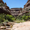 Owl Creek Canyon remains beautiful after the second major pour-off.