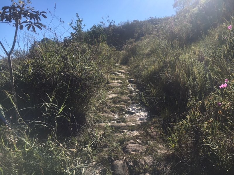 Slave's Trail is rocky and slightly overgrown in sections.