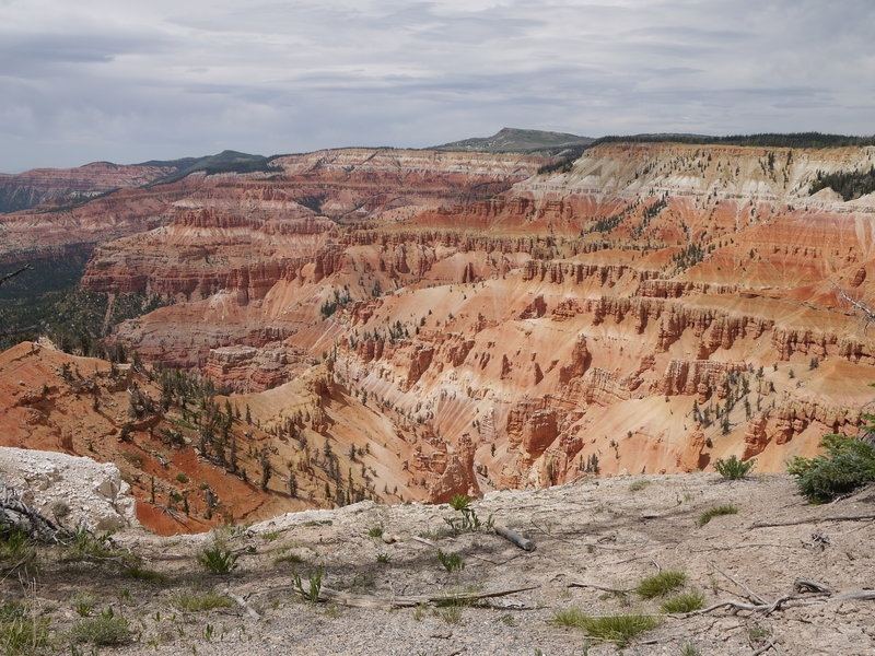 Cedar Breaks is stunning from near the visitor center.