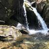 This is one of the medium-sized waterfalls along the trail.