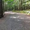 The doubletrack on the Mount Walker Loop is smooth and easy to traverse.