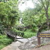 Huay Keaw Waterfall is just over that bridge.