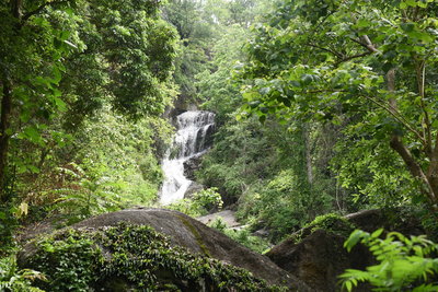 Huay Keaw Waterfall is quite beautiful.