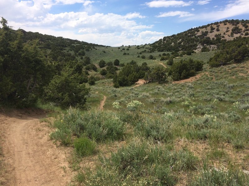 The Johnny Draw trail winds through sagebrush and juniper on the eastern side of the loop.