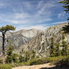 Mt. Baldy from Timber Mountain.