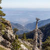 Claremont and the larger LA area from the Baldy Bowl Trail.