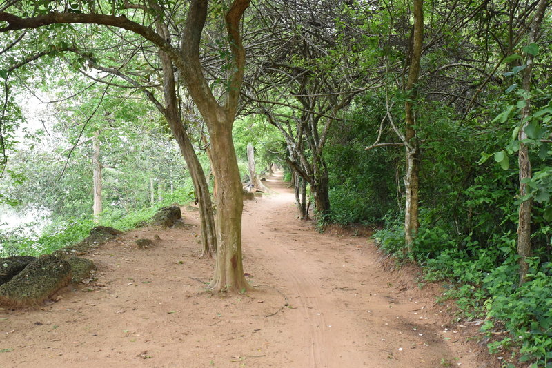 Traveling along the easy going Wall Trail.