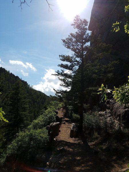 As it continues up into the canyon, the trail narrows and begins to ascend more steeply.