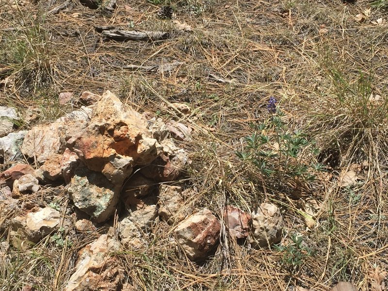 One of the many rock cairns marking the trail.