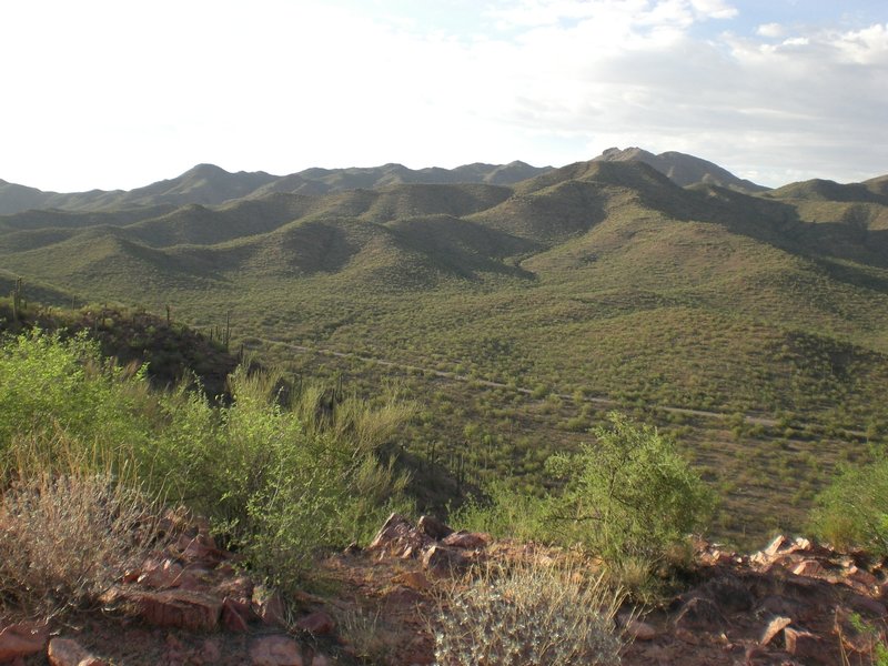 The Tucson Mountains from the Brown Mountain Trail.