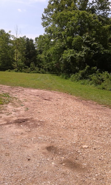 The trail continues to the right and follows a branch back to Alley Spring.