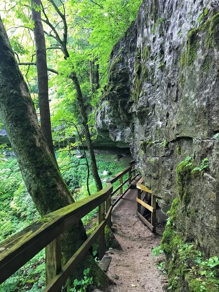 The Cedar Sinks Trail explores interesting rock formations and crevices.