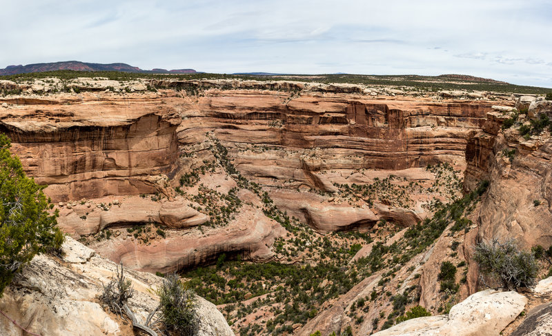 West fork of Fish Creek Canyon from the rim.