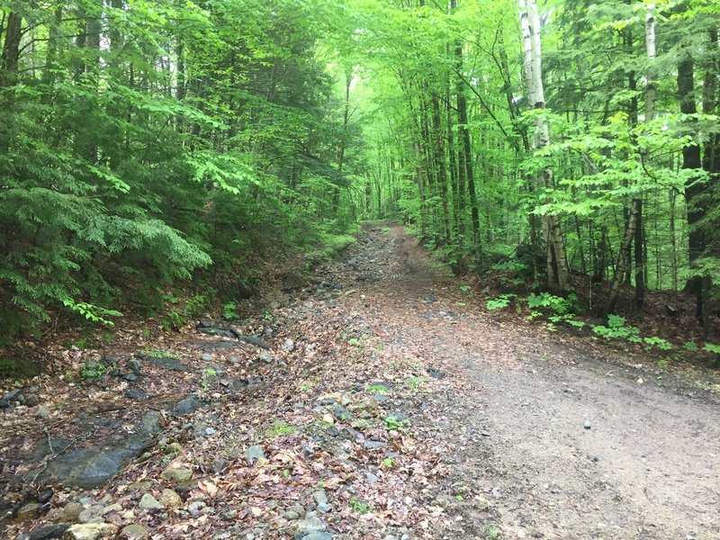 The doubletrack up to Peaked Hill Pond follows a steady grade.