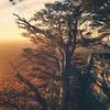 The view from Pulpit Rock is top notch, especially at sunset. | Copyright Curtis Fockele (https://goo.gl/YUZUSU) under CC BY-2.0 (https://creativecommons.org/licenses/by/2.0/) Photo was unchanged.