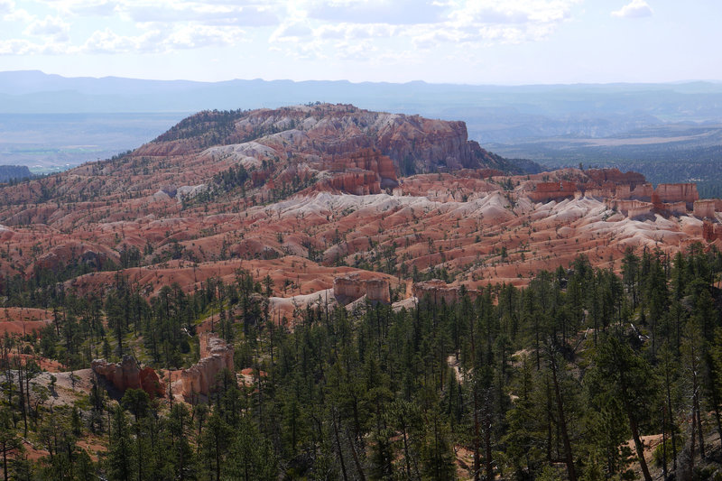 Bristlecone Point, viewed from along the Fairyland loop at Bryce Canyon NP