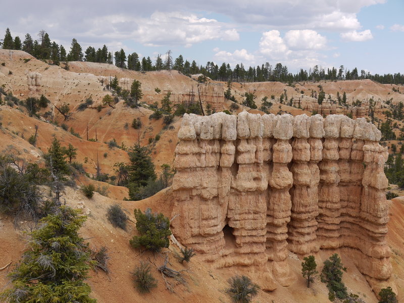 A hoodoo wall formation along the Fairyland Loop Trail.