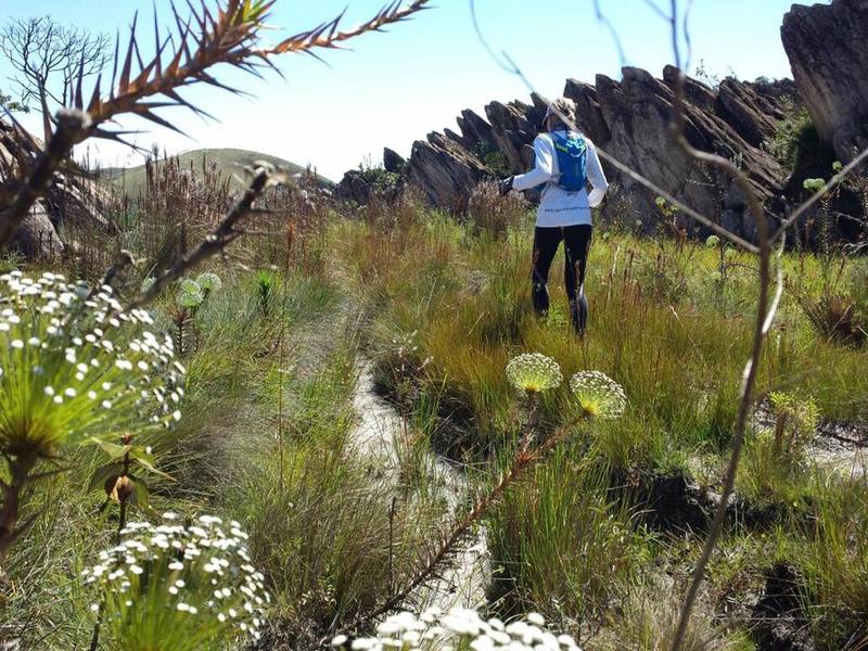 Rocky gardens provide a fun running environment.