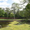 Second pond along the trail Sras Srei Trail.