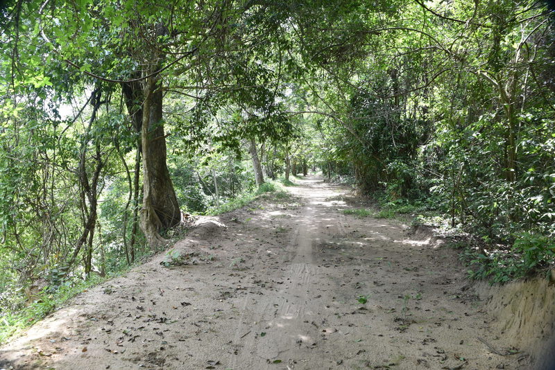 The Angkor Thom Wall Trail is easy as it travels from the North Gate.