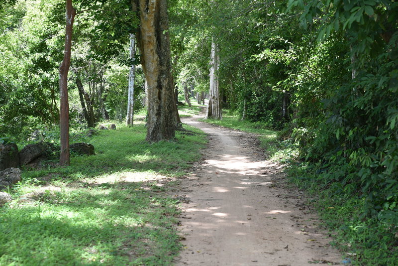 Trail from Gate of the Dead to Prasat Chrung Southeast.