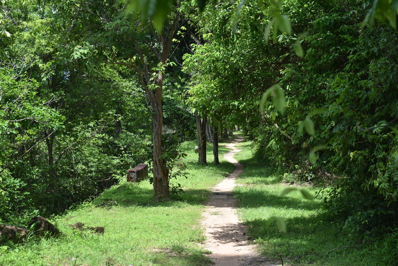 Green grass surrounds the Angkor Thom Wall Trail from the Gate of the Dead to Prasat Chrung Southeast.