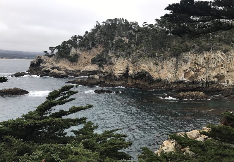 View from the Cypress Grove Trail on an overcast day.