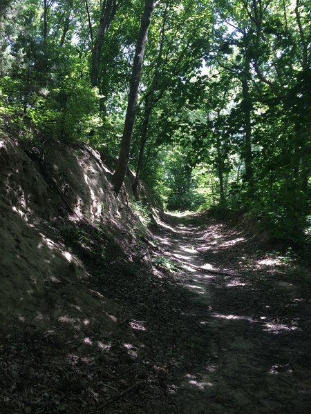 The north side of Loop A travels along a short embankment.