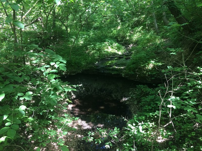 When there isn't much water, the falls are more of a trickle. Like someone didn't quite shut off the sink all the way.