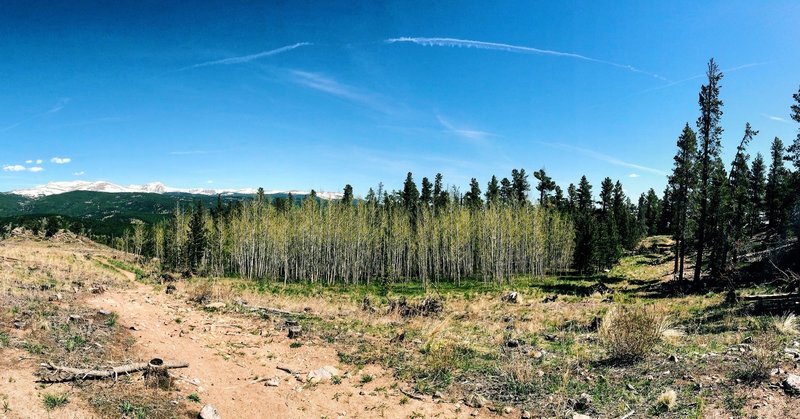 Aspen grove and snow-capped peaks along the Hobbit 1 Trail.