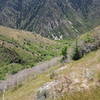 Take in the view looking down into Rattlesnake Gulch from the Pipeline Trail.