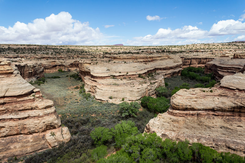 View from the rim into Grand Gulch with Polly's Island on the left.