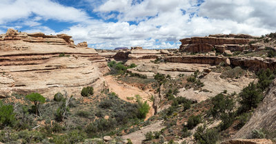 Halfway down from the rim to the canyon floor of Grand Gulch.