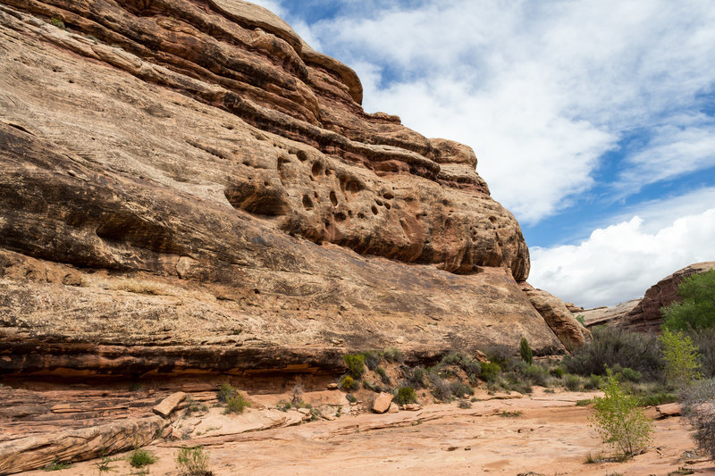 Exploring the nearby Grand Gulch canyon floor.