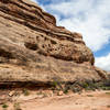 Exploring the nearby Grand Gulch canyon floor.