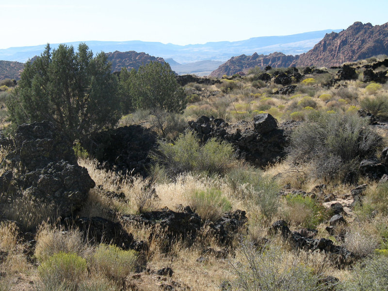 Volcanic rock on the Lava Flow trail at Snow Canyon State Park.