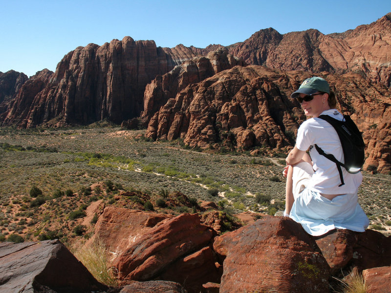 A commanding view of Snow Canyon state park from just above the Lava Flow trail.